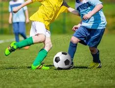 外汇投资交,易入门指南,PG电子,PG电子平台,PG电子官方网站,PG电子登录入口,PG电子app下载