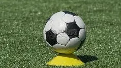 张哲瀚团队发布致歉声明：国家利益至上