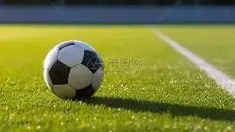 PG电子 资讯 094704 5x6