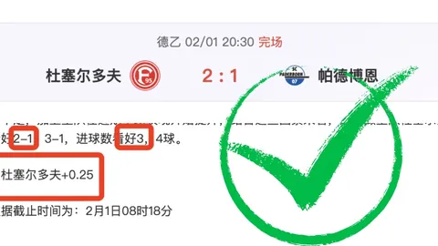 “拜仁新加盟球员惊艳，客场击败不莱梅取得大胜”